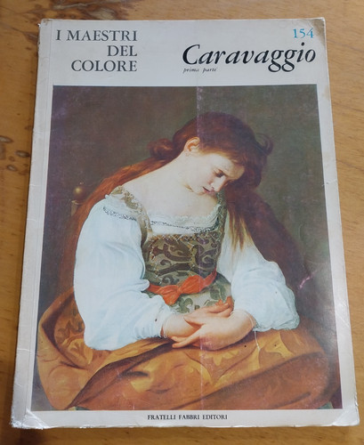 Libro maestri del colore - libro,